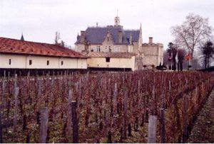 Les vignes du château Pape-Clément